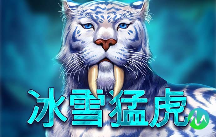 51大豆行情网站